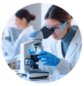 Choosing Majors and Careers